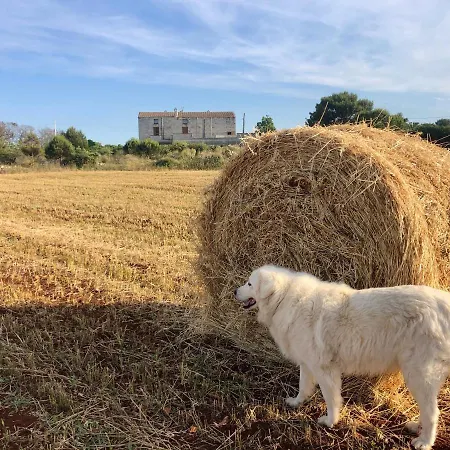 ファームステイ La Palascia Masseria Agreste *