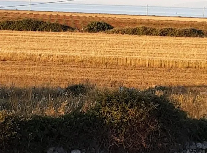 Agriturismo La Palascia